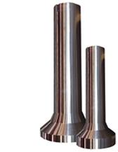 Stems5